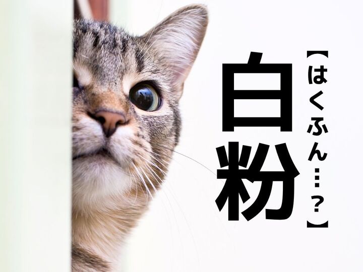 【白粉】なんて読む?「はくふん」ではありませんよ。【読めそうで読めない漢字クイズ】
