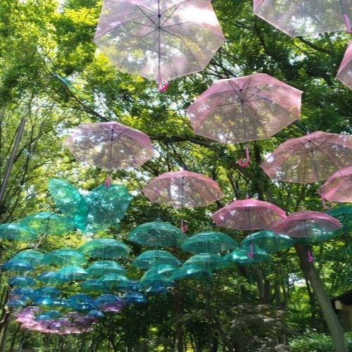 大阪市立長居植物園【紫陽花フェア】そぞろ歩き