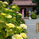 【波立薬師】いわき市のあじさい寺をご紹介！