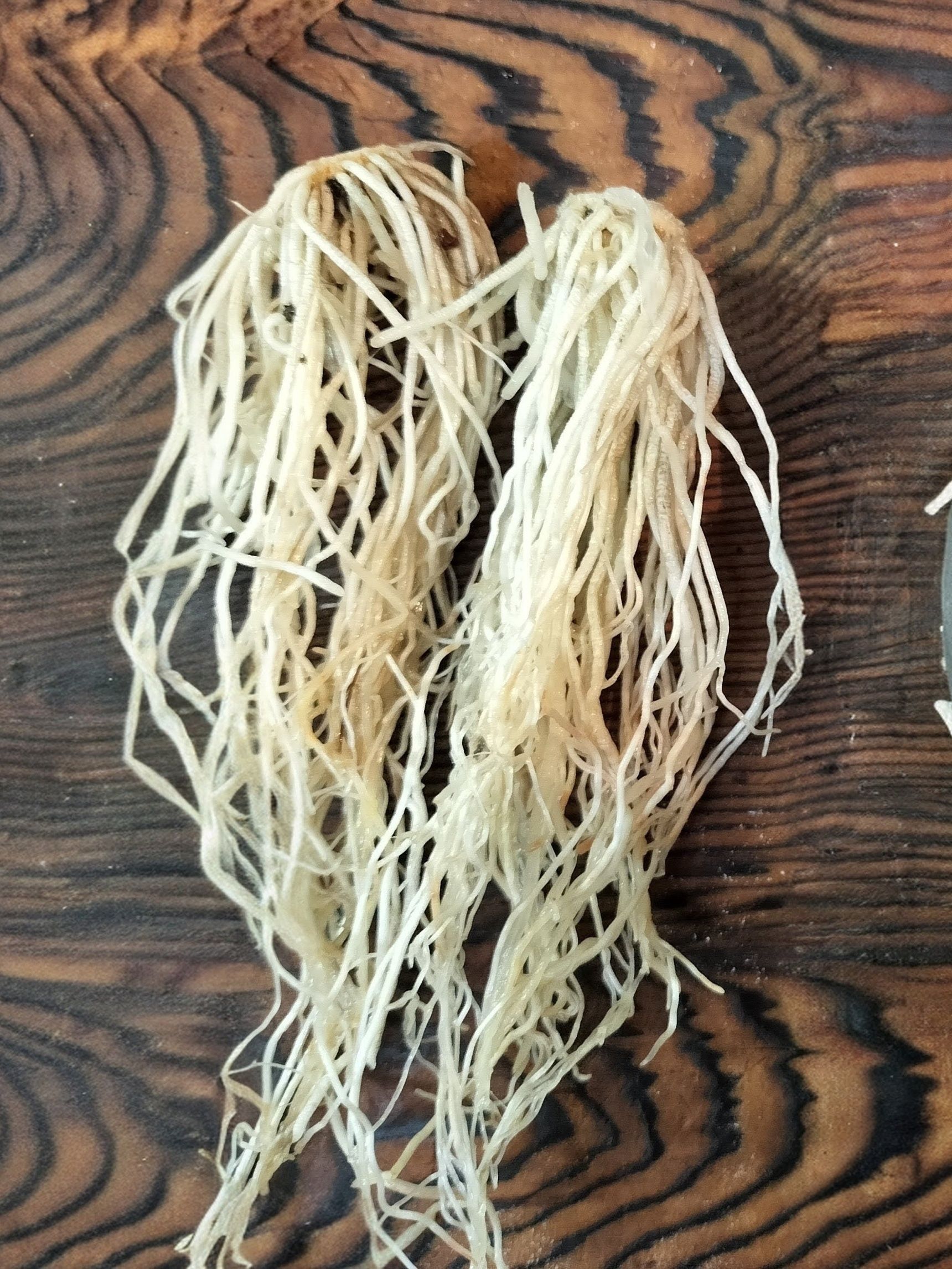 【にんにくの根/素揚げ】　