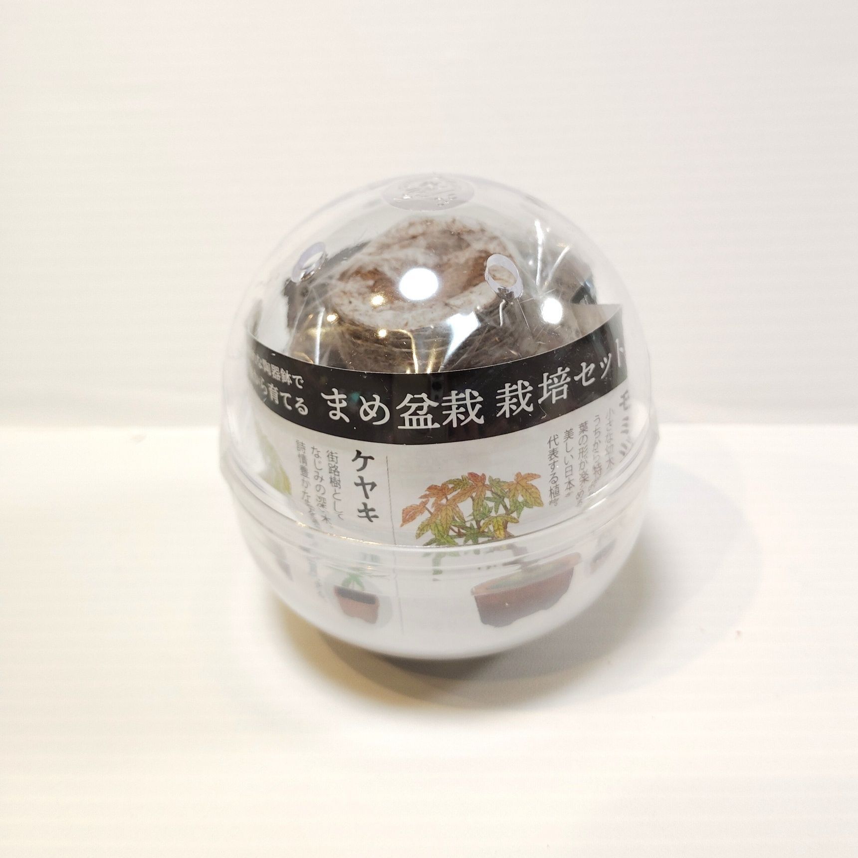 【ドストライクすぎるカプセル】ちっちゃい盆栽！？渋すぎるでしょ！