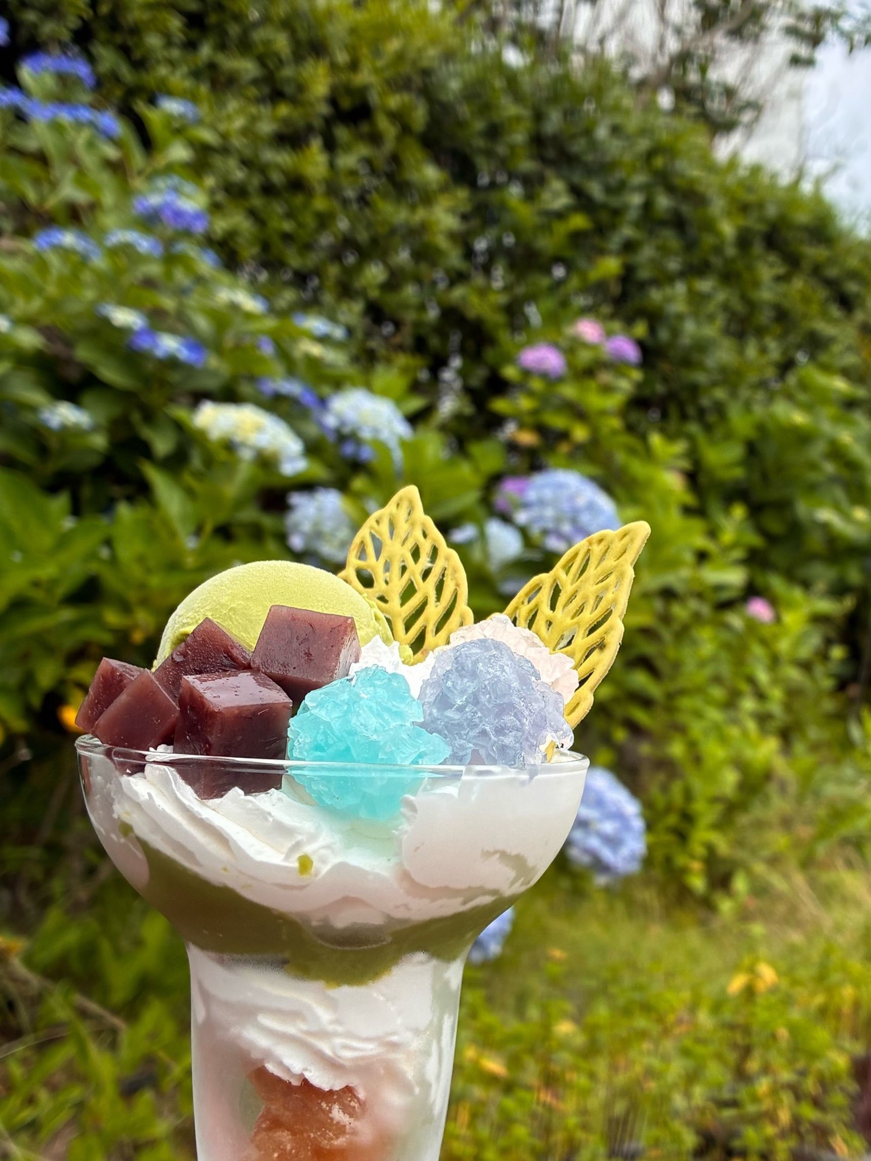 青系の紫陽花をバックに