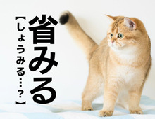 【省みる】なんて読む？「しょうみる」ではありませんよ！【読めないと恥ずかしい漢字クイズ】