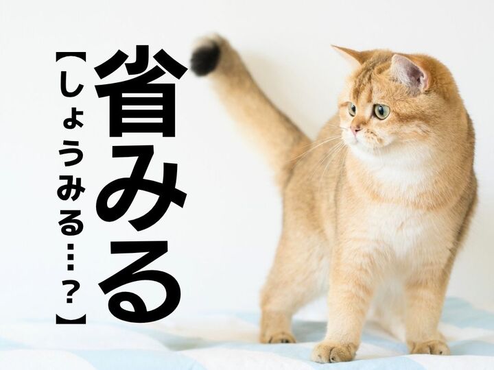 【省みる】なんて読む?「しょうみる」ではありませんよ!【読めないと恥ずかしい漢字クイズ】