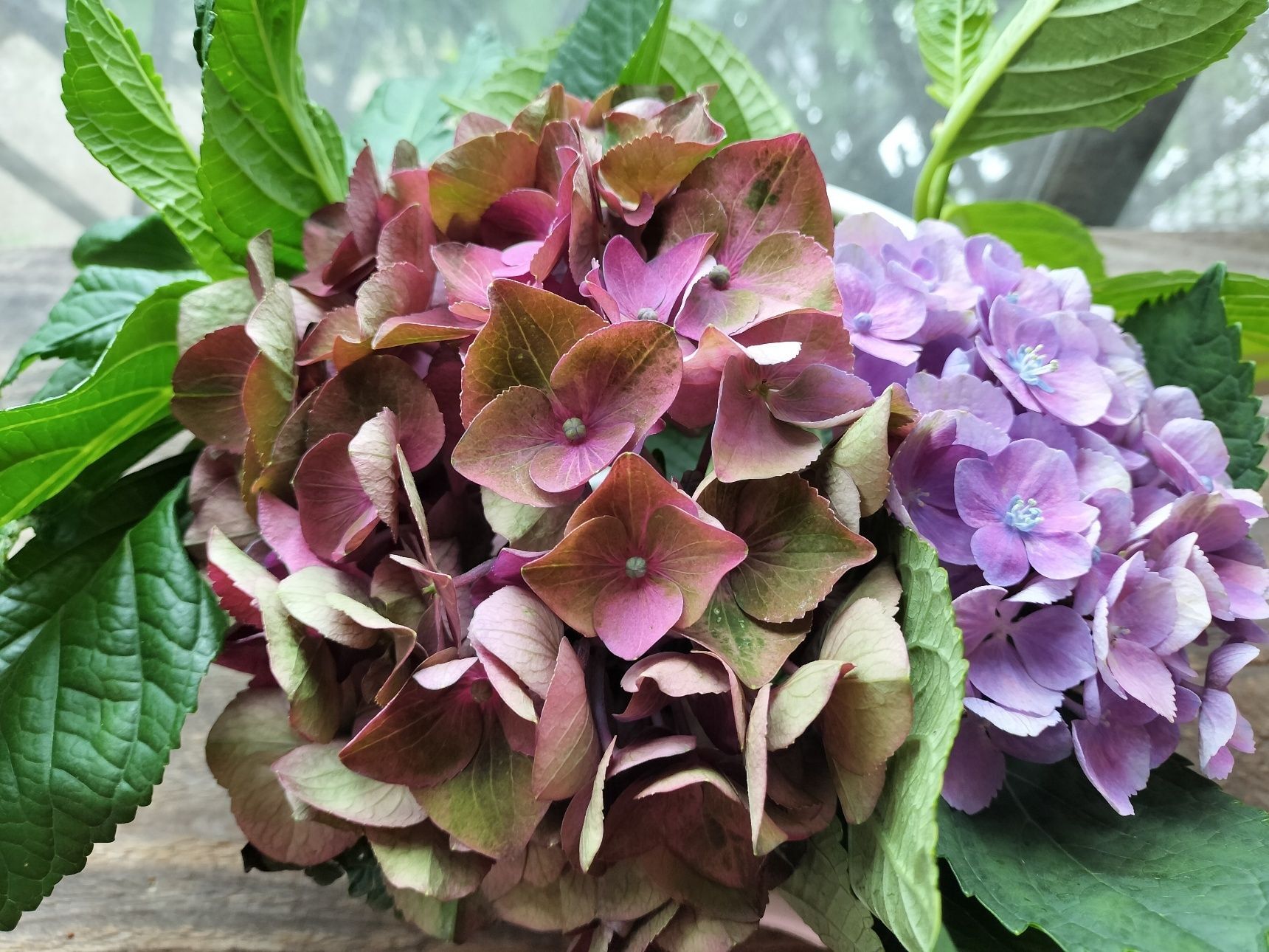 ■真花■