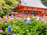 【勝ち運の勝尾寺】こんなお寺はじめて！今が見頃！『紫陽花』と『だるま』だらけの絶景を丸ごと楽しむ！