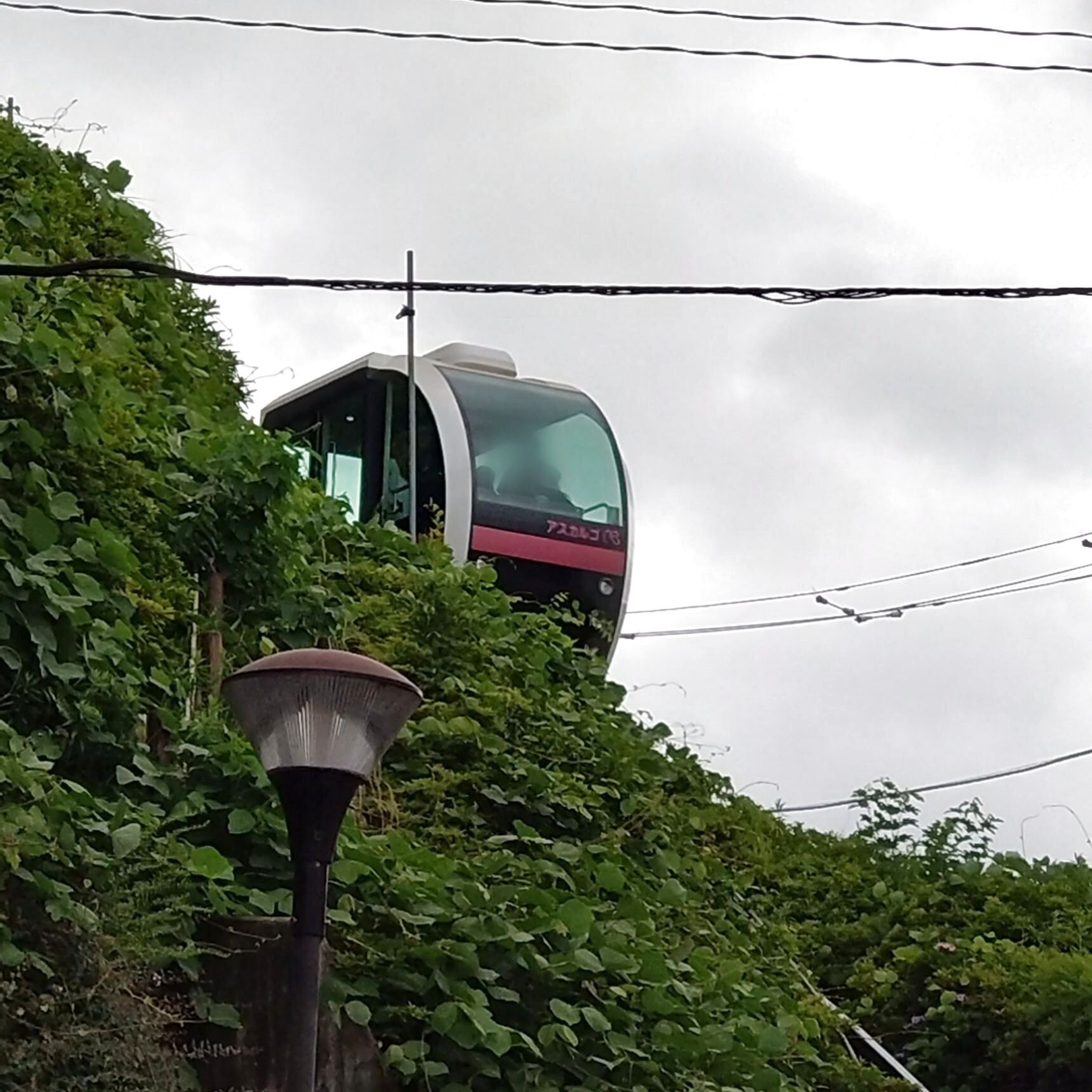 まず飛鳥山公園へ