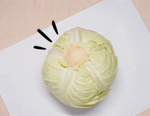 『キャベツの芯』捨てるのやめました！ちょっぴり〈大人な食べ方〉に挑戦→夏夜のお酒のおともに♪