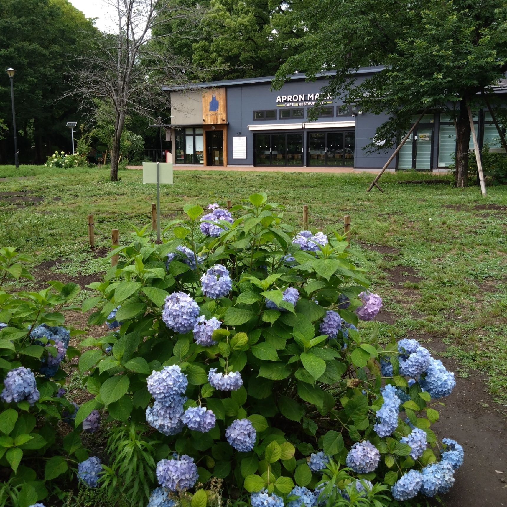公園内にはカフェも！