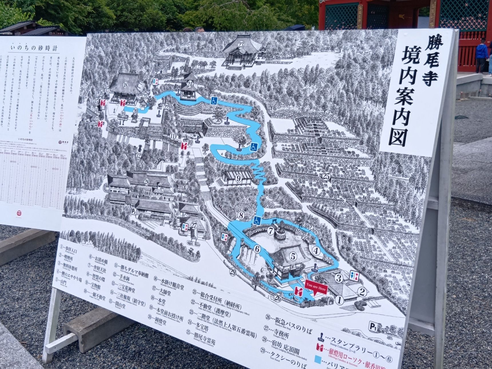 勝尾寺は昔から「勝ち運のお寺」として知られていて、鎌倉時代から江戸時代にかけては、源氏や足利氏、豊臣氏、徳川家といった武将たちにも大切にされてきたそうです。