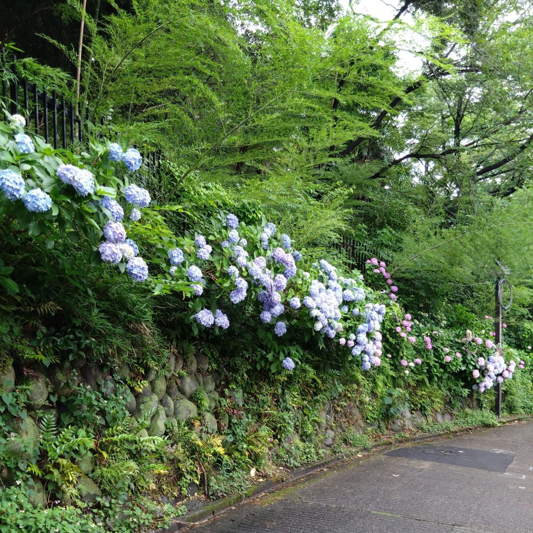 飛鳥の小径へ