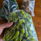 【農家直売所】朝の散歩で最高の野菜GET！