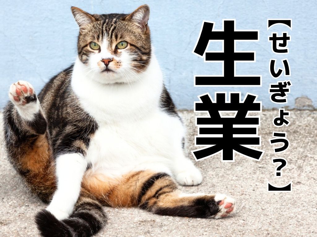 【生業】なんて読む？「せいぎょう」ではありません。実は3つの読み方があるんです！【読めそうで読めない漢字クイズ】