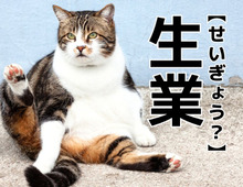 【生業】なんて読む？「せいぎょう」ではありません。実は3つの読み方があるんです！【読めそうで読めない漢字クイズ】