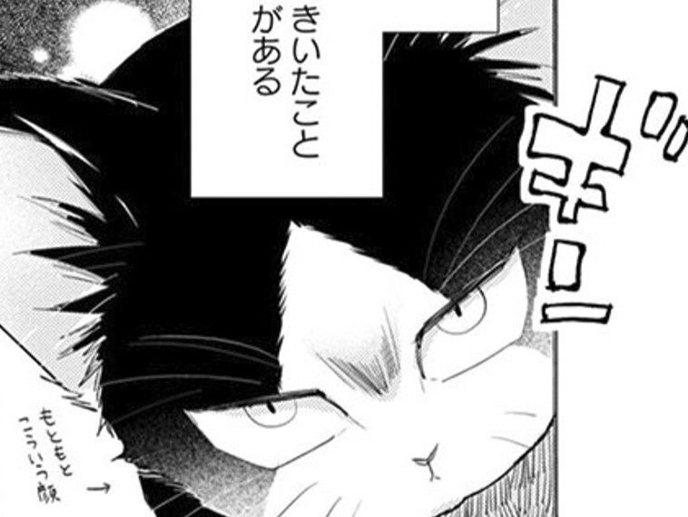 ステキな人間との出会いが運命を大きく変える。だったらこの人間は…わるい人！？【同居人はひざ、時々、頭のうえ。#8】