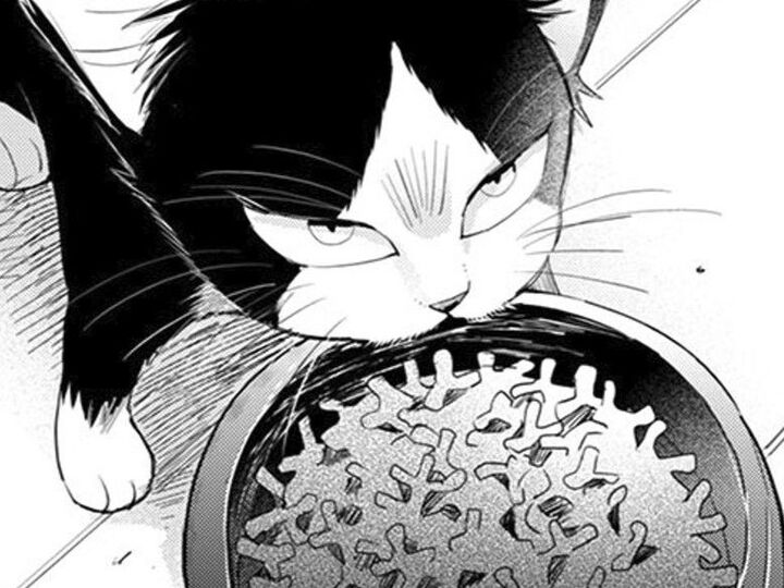 猫からの貢物がエスカレート!?僕の邪魔をしないで…その時異変が【同居人はひざ、時々、頭のうえ。#5】