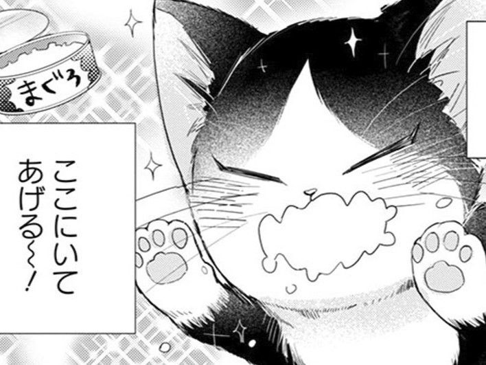 人間のくせに、なんだかほっとけない。やっぱりもう少しここにいてあげる！【同居人はひざ、時々、頭のうえ。#10】