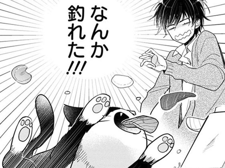 新作のネタを探す僕の前に突然現れた猫…まさかそこから出てきたの?【同居人はひざ、時々、頭のうえ。#2】