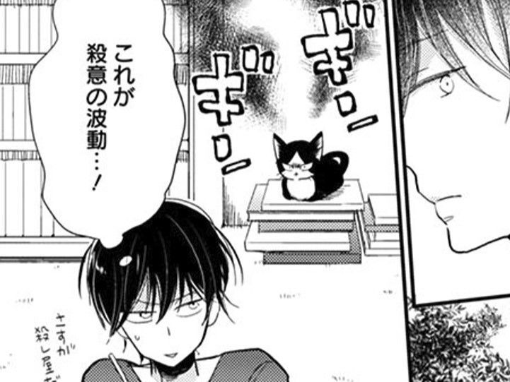 猫の行動に創作意欲がかきたてられる！ただし人のおせっかいは結構です【同居人はひざ、時々、頭のうえ。#3】