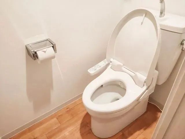 トイレブラシ、使うのやめました！「汚れた道具を置きたくない」そんな人にぴったりなお掃除術3選♪