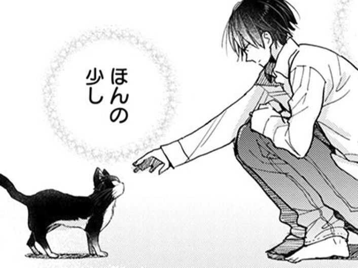 わからないことばかりの猫との暮らし。だけど触れてみたら少しだけ…【同居人はひざ、時々、頭のうえ。#29】