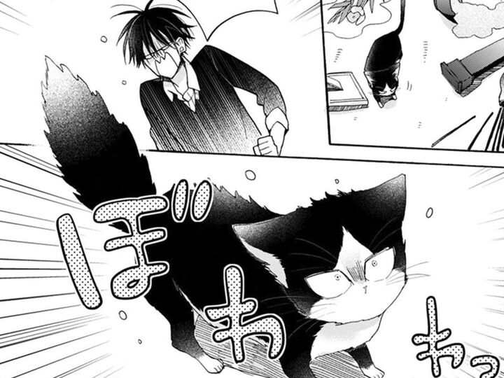 自由気ままな猫との生活。ありえないイタズラに、ついに我慢の限界…!?【同居人はひざ、時々、頭のうえ。#34】