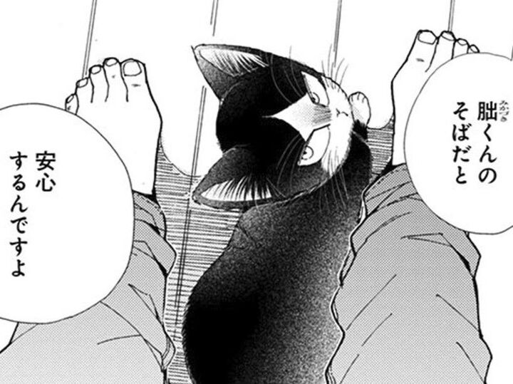 懐かない猫だと思ってたのに。僕のそばだと安心する?そんなまさか…【同居人はひざ、時々、頭のうえ。#27】