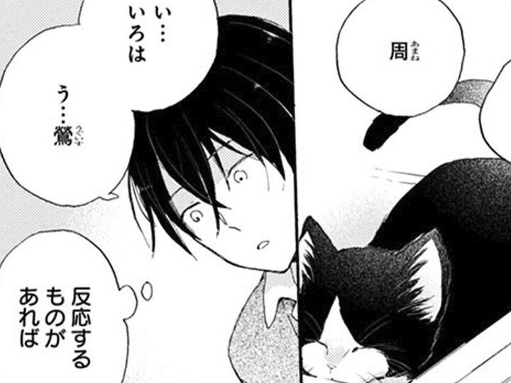 「お前にも名前をやろう」拾った猫に名前をつける…反応する言葉はある?【同居人はひざ、時々、頭のうえ。#16】