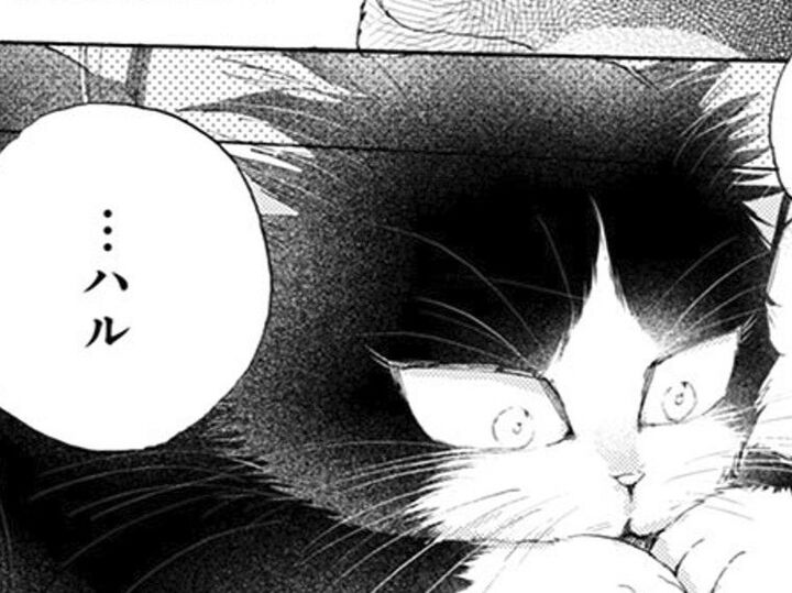 ブツブツ言ってうるさい人間…でもあの"あったかい言葉"が聞こえて…?【同居人はひざ、時々、頭のうえ。#20】