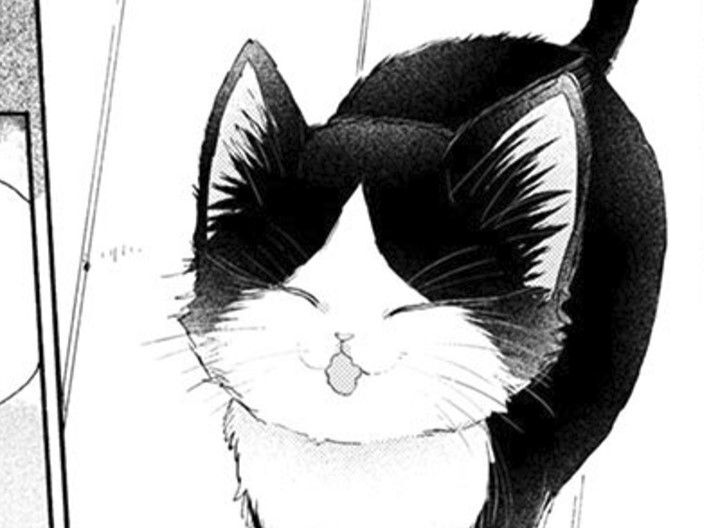 猫に話しかけるなんて、どうかしてる。それでも心に響く"家族"という言葉【同居人はひざ、時々、頭のうえ。#18】