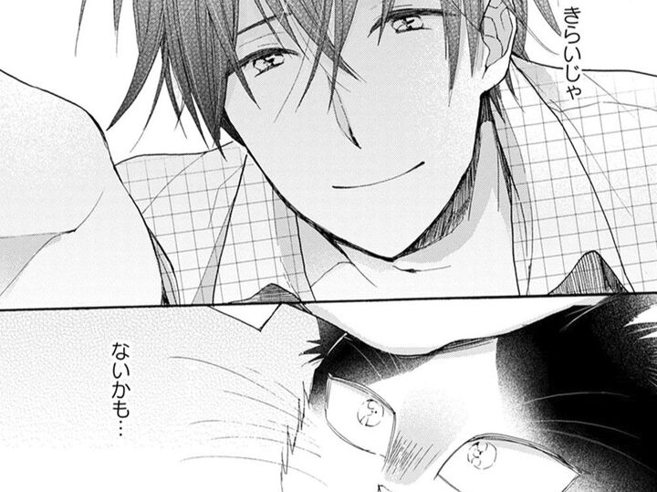 ちょっと頼りないけどごはんはくれるし、もの静か。そういうところは…【同居人はひざ、時々、頭のうえ。#33】