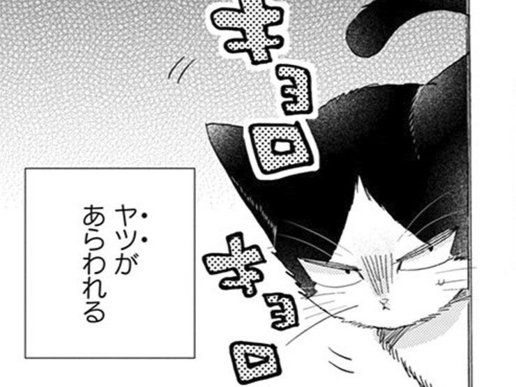 わたしのおひるねを邪魔する"アイツ"…一体なんなの！？なんとかしてよ！【同居人はひざ、時々、頭のうえ。#30】