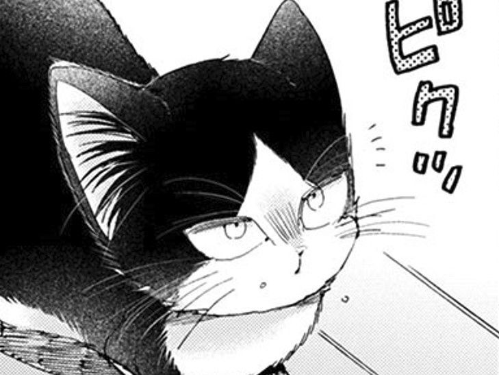 そんなに好きなら「エサやってみますか?」初めてのエサやり、反応は…?【同居人はひざ、時々、頭のうえ。#25】