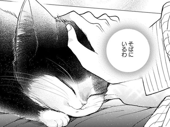 「なさけないわね、おとこのこでしょ」大丈夫。わたしがそばにいて守ってあげる【同居人はひざ、時々、頭のうえ。#42】