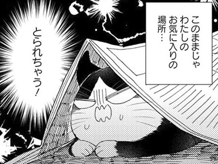 宙に浮かぶ2つの影!?人間は頼りないし、わたしがなんとかしなきゃ…!【同居人はひざ、時々、頭のうえ。#40】