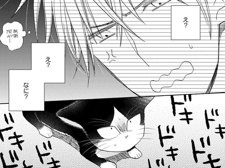 突然大声を出されてびっくり！！この人間があんなに大きな声を出すなんて…【同居人はひざ、時々、頭のうえ。#41】