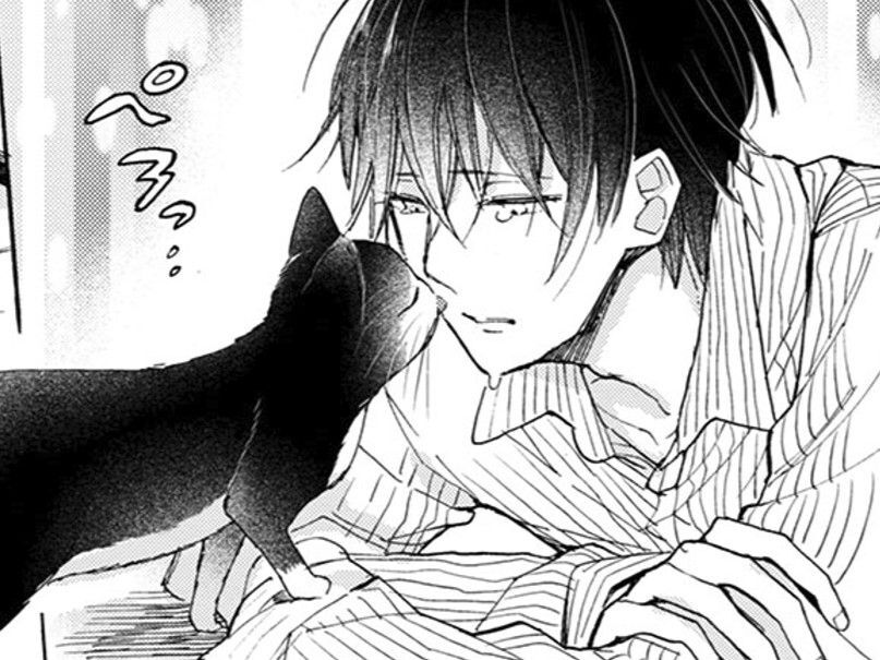 泣きじゃくる僕に近づいてきた猫。「頼むから今はひとりに…」そう言うと…【同居人はひざ、時々、頭のうえ。#38】