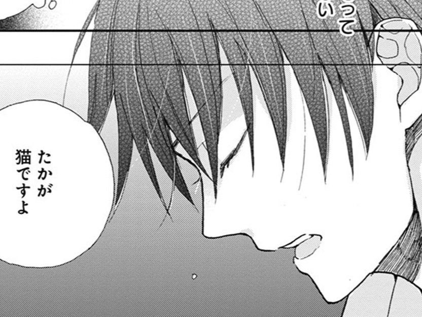 理解できない言葉に思わず…「たかが猫ですよ」。返ってきたのは意外な反応だった【同居人はひざ、時々、頭のうえ。#26】