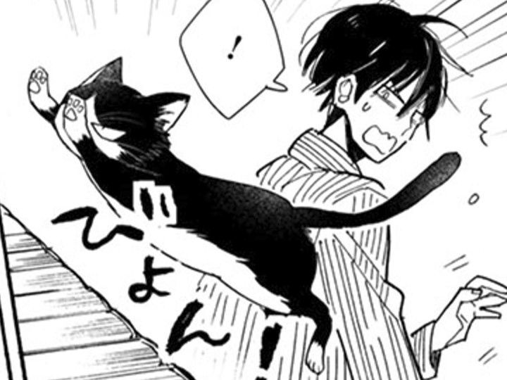久しぶりに入った両親の部屋。そこに猫が侵入してきて！？「お前ってやつは…」【同居人はひざ、時々、頭のうえ。#36】