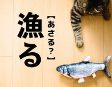 【漁る】なんて読む？「あさる」ではありませんよ！【読めそうで読めない漢字クイズ】