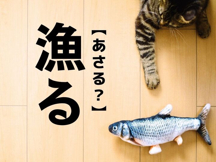 【漁る】なんて読む?「あさる」ではありませんよ!【読めそうで読めない漢字クイズ】
