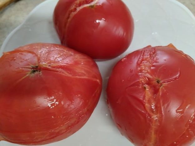 皮をむく前の状態