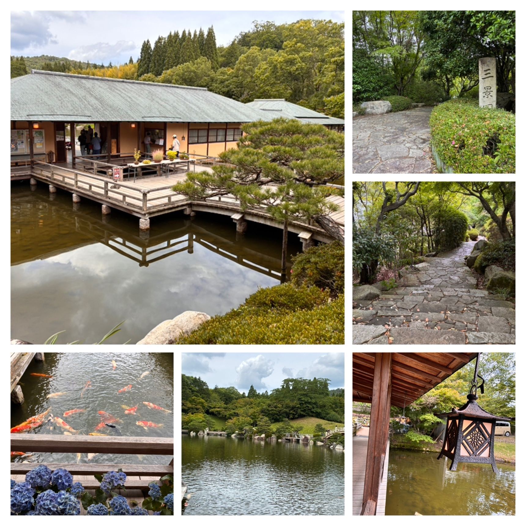 本当にこの先紫陽花園があるの？と思わせる