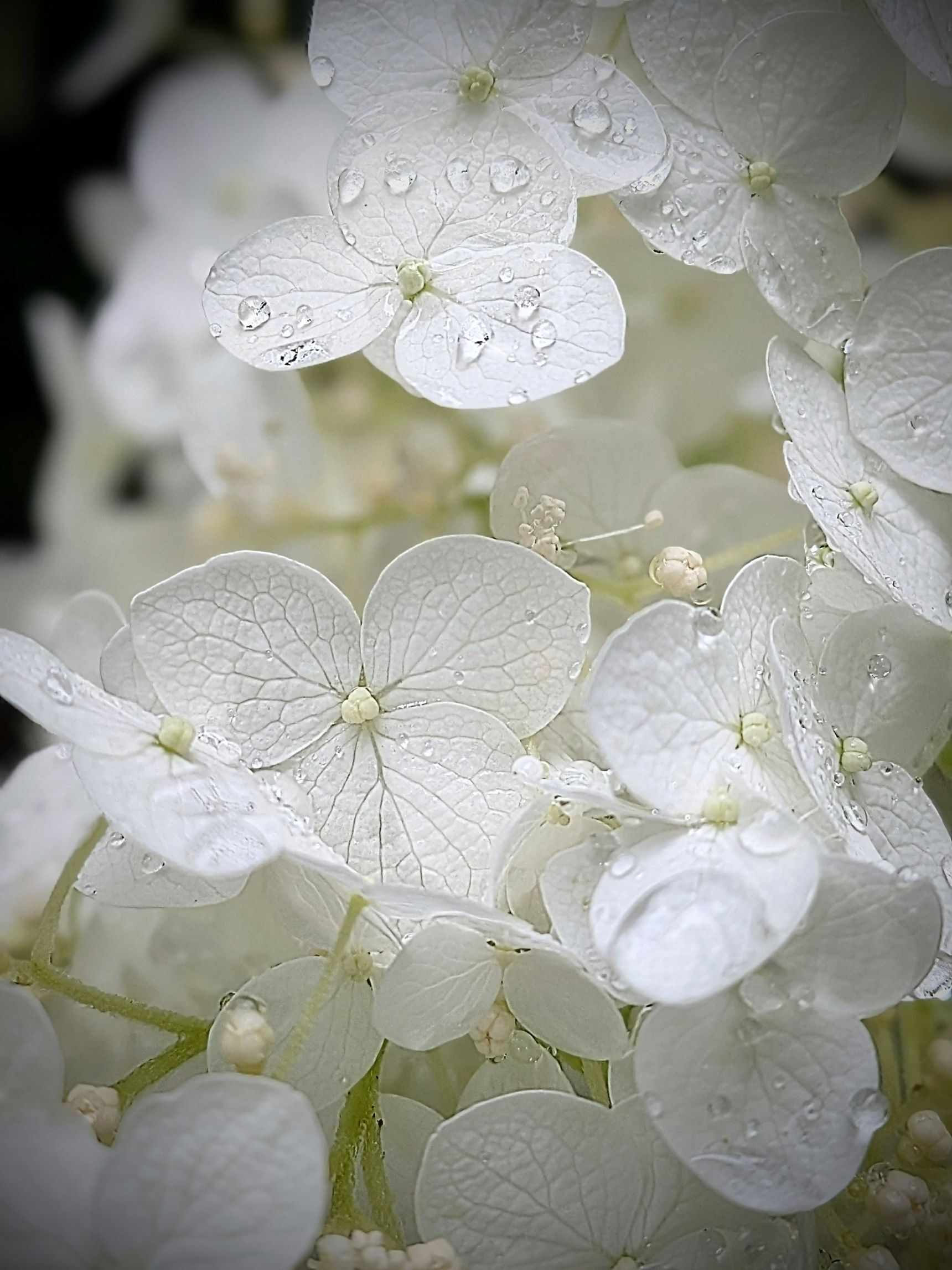 雨でも出かけてみよう