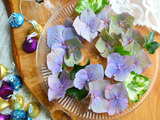え？！知らなかった…紫陽花の終わりの美しさ