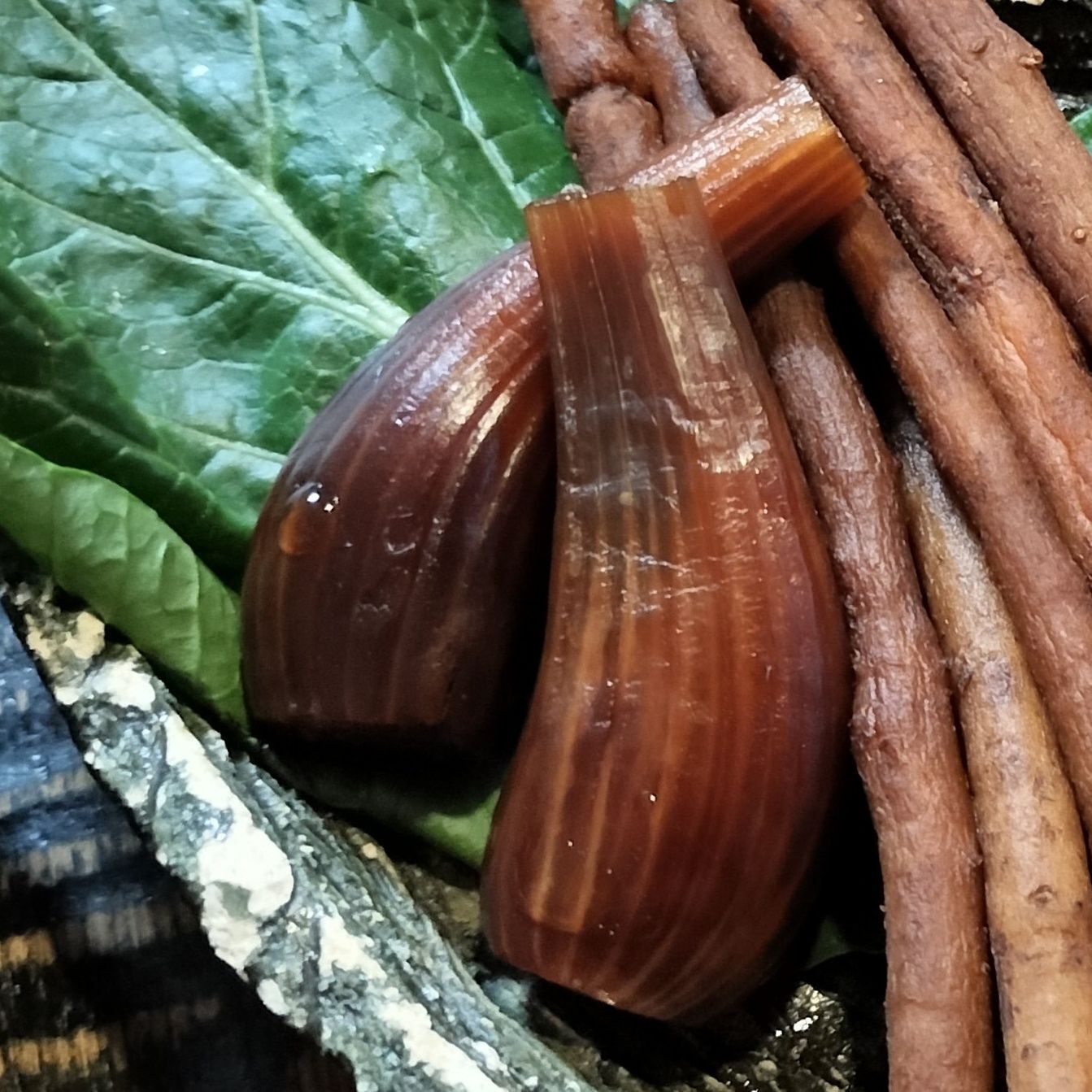 【らっきょうの漬物】※歯切れが良く、しっとりコリコリ食感の生しょうゆ糀漬け！