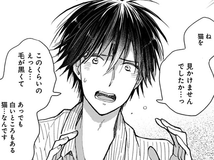 人嫌いで引きこもり。極力人と関わりたくない、そんな僕だけど…【同居人はひざ、時々、頭のうえ。#48】