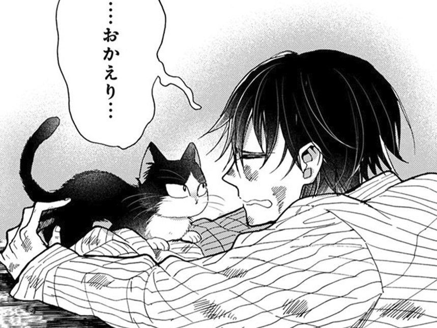 まさかそんなところにいるとは…！お前よくもしれっと…でも「おかえり…」【同居人はひざ、時々、頭のうえ。#49】