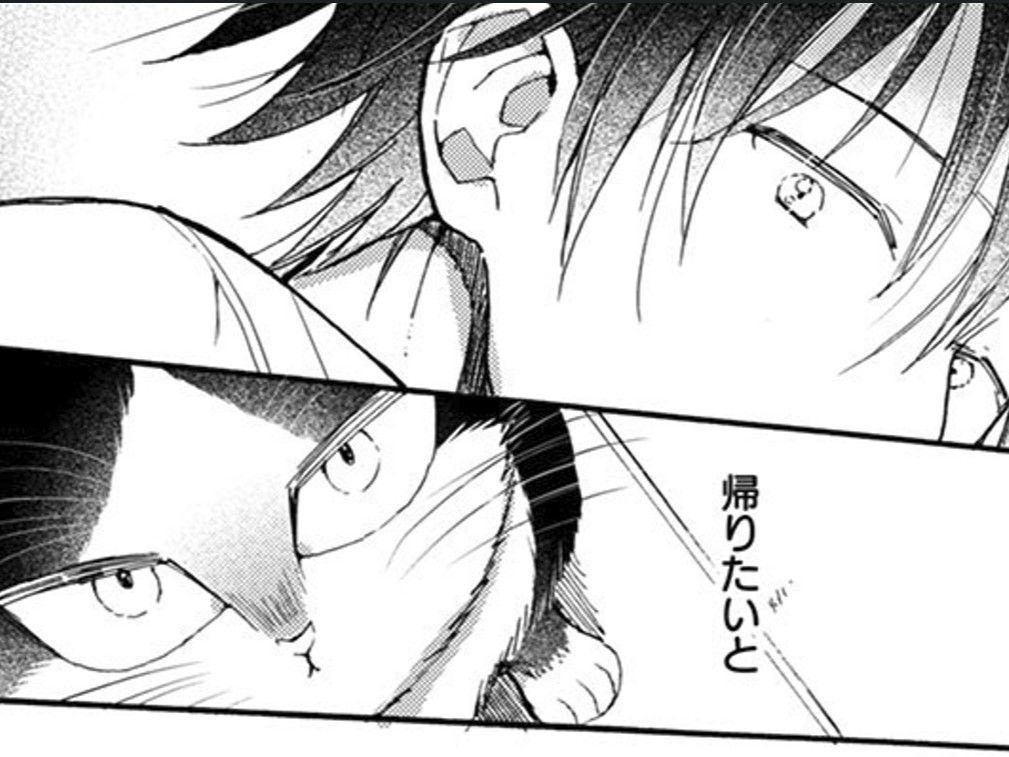 待っているものはそれぞれ違っても…。誰しも帰りたいと願う場所がある【同居人はひざ、時々、頭のうえ。#50】