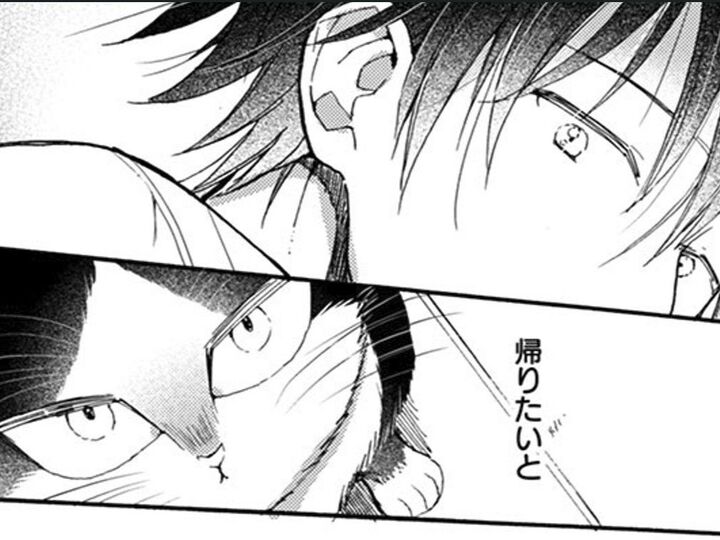 待っているものはそれぞれ違っても…。誰しも帰りたいと願う場所がある【同居人はひざ、時々、頭のうえ。#50】